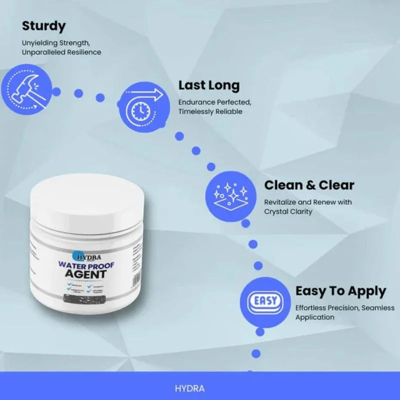 R&S Trader || Hydra Waterproof Agent | Instant Water Tight Sealing Solution for Wall & Floor | With Brush | 250g-052