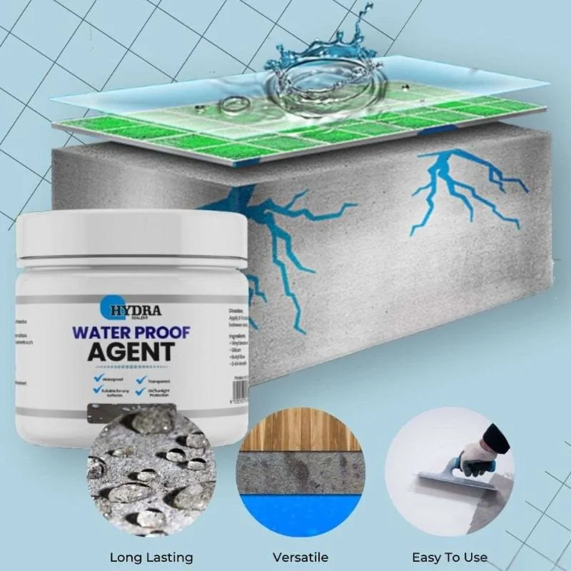 R&S Trader || Hydra Waterproof Agent | Instant Water Tight Sealing Solution for Wall & Floor | With Brush | 250g-052