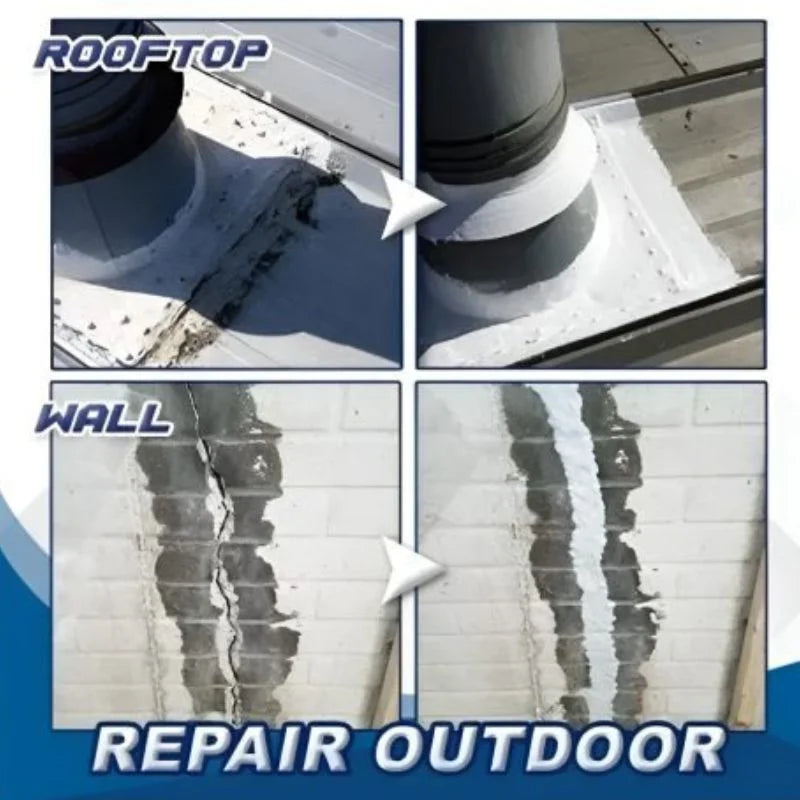 R&S Trader || Hydra Waterproof Agent | Instant Water Tight Sealing Solution for Wall & Floor | With Brush | 250g-052